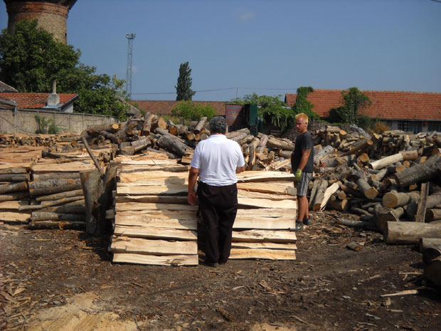 Цепанице на црно, дрваре на губитку